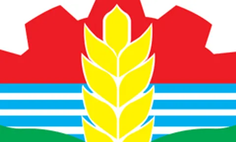 Công ty Quế Lâm Phương Bắc – Bài 2: Trúng thầu lớn, doanh thu tăng nhưng lãi “mỏng”