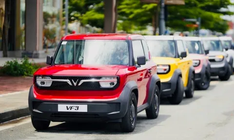 Chuyên gia: “Xe của năm” 2024 là ghi nhận xứng đáng dành cho “hiện tượng” VinFast VF 3