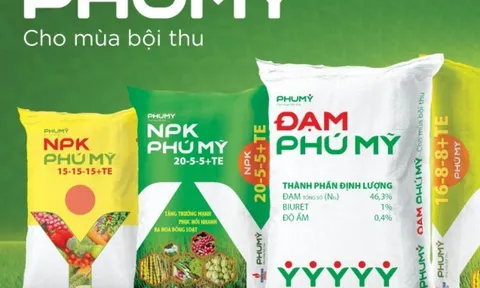 Ra mắt tên và bộ nhận diện thương hiệu mới PHUMY: Bước chuyển mình mạnh mẽ của PVFCCo