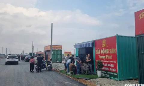 Kim Sơn (Ninh Bình): Giá đất đấu giá bị đẩy lên đến 28 triệu đồng/m², môi giới dựng văn phòng tràn lan