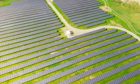 HID lại 'dậy sóng' tăng trần 5 phiên, Halcom nói gì?