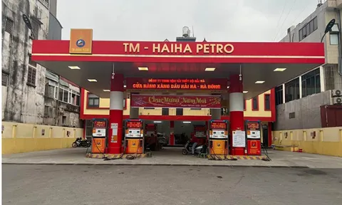 Xuyên Việt Oil, HaiHa Petro: Nợ xấu ngân hàng nghìn tỷ, chây ỳ không nộp thuế