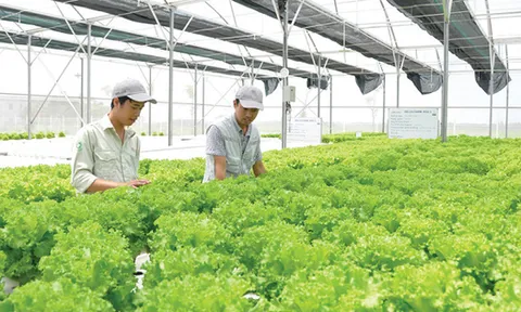 Thực phẩm Hồng Hà chi hàng chục tỷ đồng thâu tóm 2 công ty