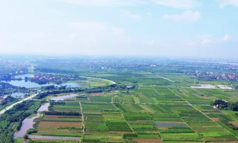 Giảm 70% tiền chuyển đổi đất nông nghiệp sang đất ở