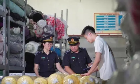 Xuất hiện tình trạng sử dụng hàng hóa miễn thuế không đúng mục đích để trốn thuế