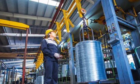 Thép dây mạ kẽm Hòa Phát hưởng mức thuế 5,7% vào Canada, trong khi DN khác chịu mức cao tới 158,9%