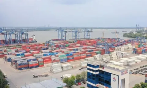 Cổ phiếu Tân Cảng từng cao nhất sàn chứng khoán sắp bị hủy niêm yết