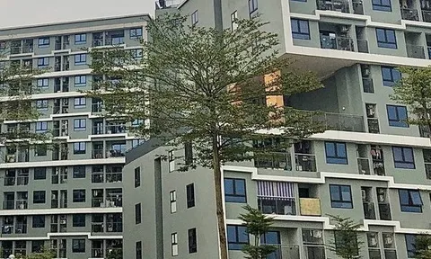Bán nhà ở xã hội không đúng đối tượng sẽ bị buộc thu hồi