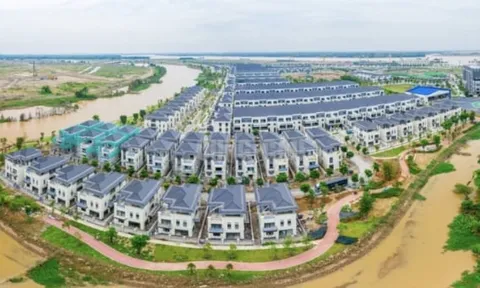 Đồng Nai: Nhiều doanh nghiệp bất động sản lớn nợ thuế