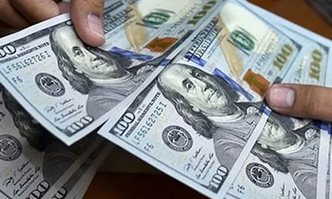Tỷ giá USD hôm nay 15/12: Đồng xanh tụt dốc không phanh