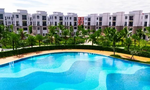Vịnh Xanh - Hình mẫu compound thế hệ mới chinh phục giới tinh hoa