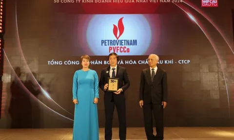 PVFCCo nhận giải thưởng Top50 công ty kinh doanh hiệu quả nhất Việt Nam năm 2024