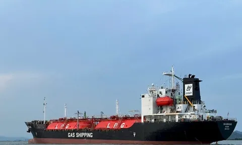 Gas Shipping (HOSE: GSP) xin vay ngân hàng mua tàu thứ 10 giữa lúc lợi nhuận lao dốc, quý III giảm gần 90%