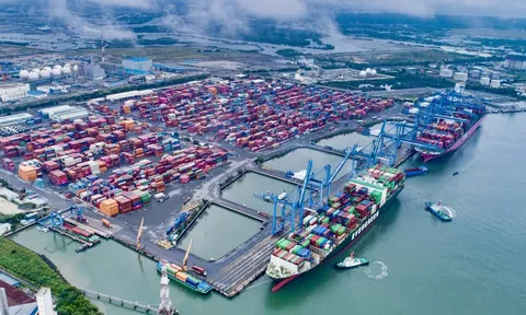 TP.HCM lập Khu thương mại tự do Cái Mép Hạ quy mô gần 3.800ha