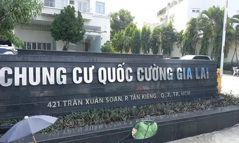 Đứt chuỗi tăng trần: Cổ phiếu QCG bị bán tháo, nằm sàn la liệt