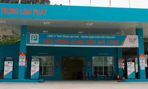 Đại gia xăng dầu bị tước giấy phép, ngân hàng 'ôm' nợ 1.000 tỷ đồng