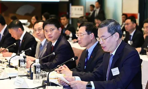 VietinBank phối hợp tổ chức Tọa đàm của Thủ tướng Chính phủ với các tập đoàn Nhật Bản