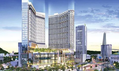 Quảng Ninh: Công ty Đức Trí nộp khoản nợ thuế hơn 1.000 tỷ đồng