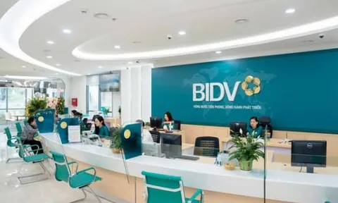 BIDV Sông Hàn có nhiều tồn tại trong nghiệp vụ tín dụng và bảo lãnh