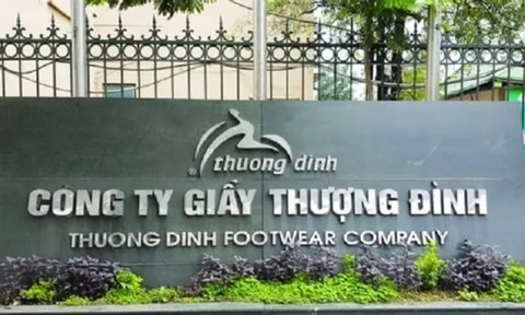 Thoái vốn thành công khỏi Giầy Thượng Đình (UPCoM: GTD), Hà Nội thu về hơn 1.379 tỷ đồng giữa lúc doanh nghiệp lỗ gần 13 tỷ và bị nghi ngờ khả năng hoạt động liên tục