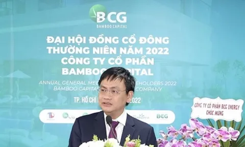 Bamboo Capital: “Ôm” tiền cho công ty âm vốn có cổ phần của ông Nguyễn Hồ Nam vay