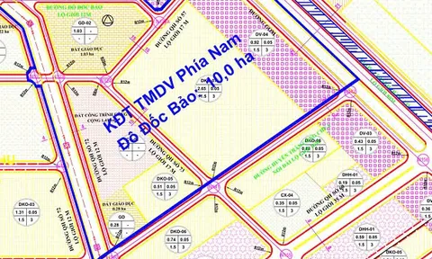 Bình Định: Chấm dứt dự án BĐS 740 tỷ của Địa ốc Nam Việt và Xây dựng Sài Gòn