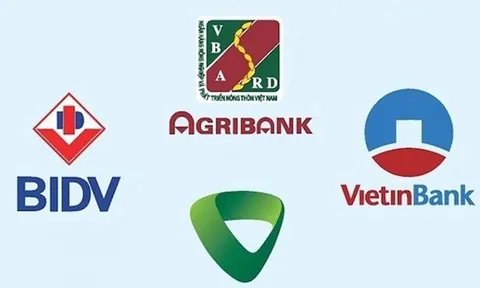 Hé lộ kết quả kinh doanh nhóm Big4 ngân hàng năm 2024