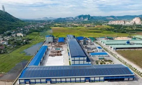 Thanh Hóa: Công ty Miza Nghi Sơn bị phạt gần 560 triệu đồng vì vi phạm môi trường