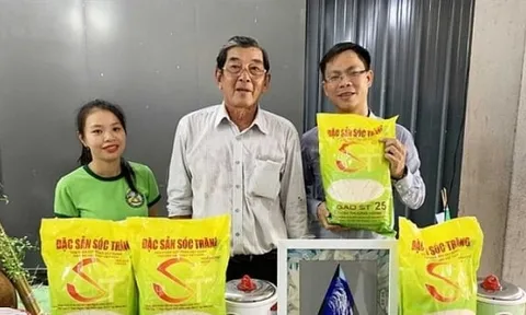 Gạo ST24 và ST25 được hưởng ưu đãi thuế quan khi xuất khẩu vào EU