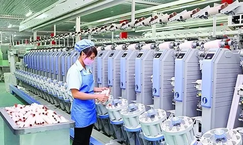 Dệt may Thành Công (TCM): Trả cổ tức 56 tỷ đồng tiền mặt, lợi nhuận 11 tháng mới đạt 93% kế hoạch