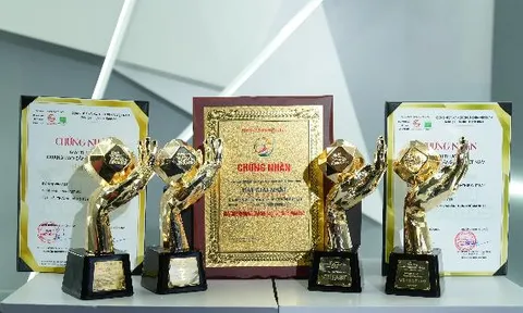 VinFast giành “bộ tứ” giải thưởng danh giá tại Vạn Xuân Awards 2025