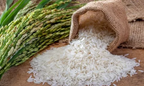 Giá gạo trong nước ổn định, xuất khẩu tăng nhẹ