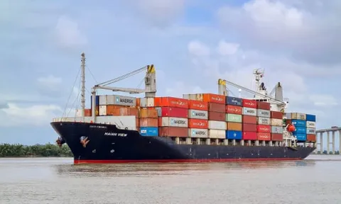 Vận tải và Xếp dỡ Hải An muốn phát hành gần 2,5 triệu cổ phiếu ESOP