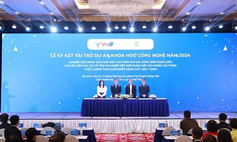 VinIF và hành trình 6 năm thay đổi tư duy nghiên cứu khoa học tại Việt Nam
