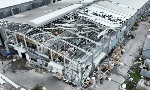 Bảo hiểm năm 2024: 10 dấu ấn nổi bật trong 1 năm biến động