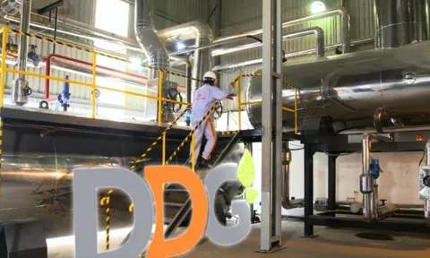 Nhận diện Xuất nhập khẩu Đông Dương bị 'bêu tên' chậm đóng BHXH kéo dài