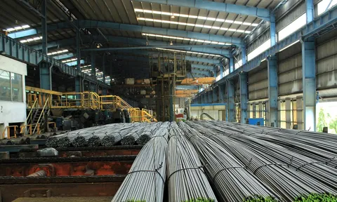 Thép Vicasa (VCA): Doanh thu lao dốc gần 89%, nhà máy bị đình chỉ và cần huy động tới 2.000 tỷ để di dời