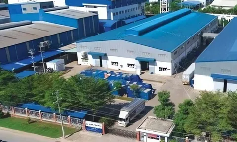 Tasco thâu tóm DNP Holding, vị thế 'ông lớn' từ ô tô đến nước sạch và nhựa…