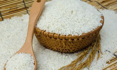 Có thể thu hồi giấy phép xuất khẩu gạo đối với thương nhân không thực hiện chế độ báo cáo