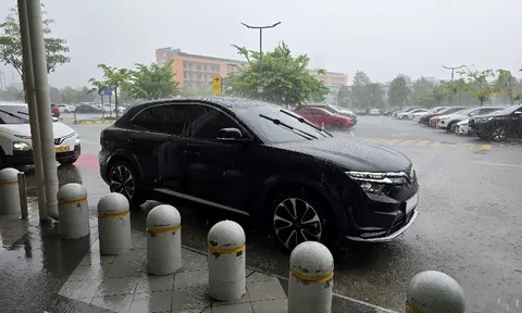 Chủ xe VF 8: Mua xe vì an toàn, đáp ứng nhu cầu sử dụng của gia đình