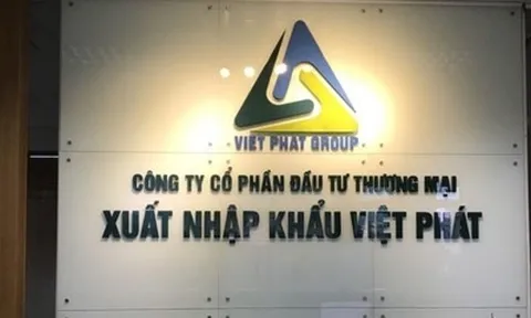 Phạt lãnh đạo Công ty Xuất nhập khẩu Việt Phát và Công ty Xây dựng Bạch Đằng