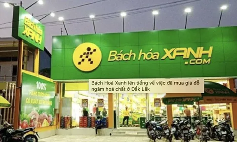 Bách Hoá Xanh tiêu thụ giá đỗ chứa chất cấm cực kỳ độc hại