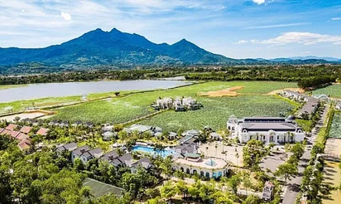 Tập đoàn Thăng Long (TIG): Cổ đông lớn thoái 4 triệu cổ phiếu, lợi nhuận lao dốc, lộ cấu trúc dòng tiền gắn chặt hệ sinh thái Chủ tịch Nguyễn Phúc Long