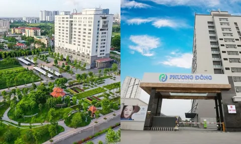 Thông tin đáng chú ý về tài sản, lợi tức của Tổ hợp Y tế Phương Đông của Shark Việt
