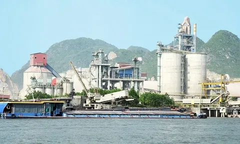 Xi măng Long Thành thua lỗ và nợ nần, vẫn đầu tư nhà máy mới 6.000 tỷ đồng