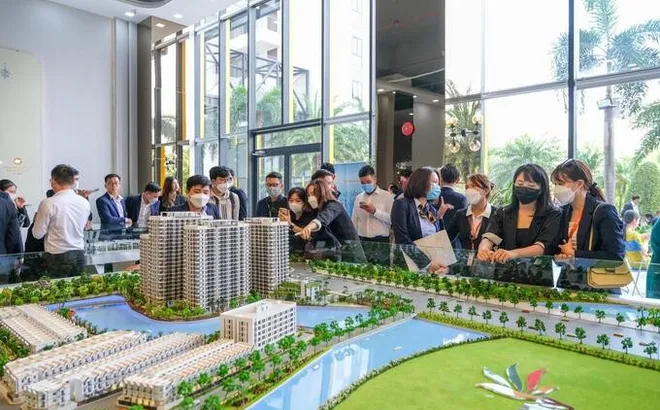Môi giới bất động sản không có chứng chỉ có thể bị phạt đến 60 triệu đồng