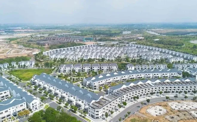 Nhóm công ty thuộc Novaland nợ thuế hơn 660 tỷ đồng