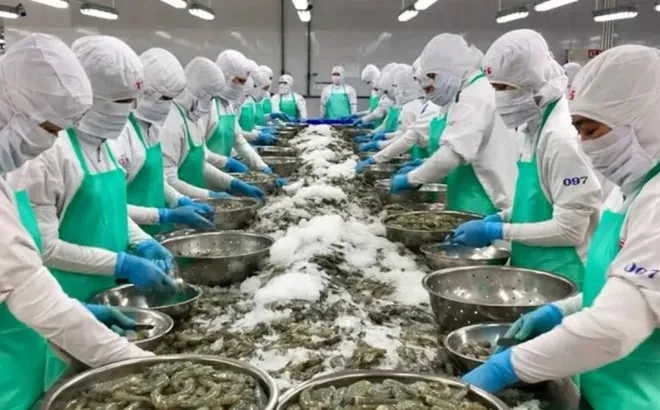DN đầu tiên báo lỗ quý II/2026:: Doanh thu 176 triệu đồng, vốn chủ sở hữu âm 512 tỷ