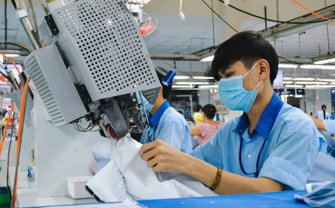 ‘Ông lớn’ dệt may một thời lại trắng đơn hàng, lỗ nặng vì phát sinh tiền thuê đất
