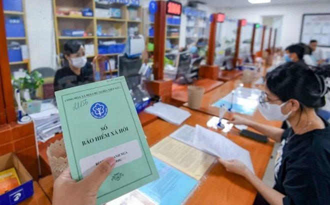 Từ 1/7/2029: Tất cả chủ hộ kinh doanh bắt buộc tham gia bảo hiểm xã hội